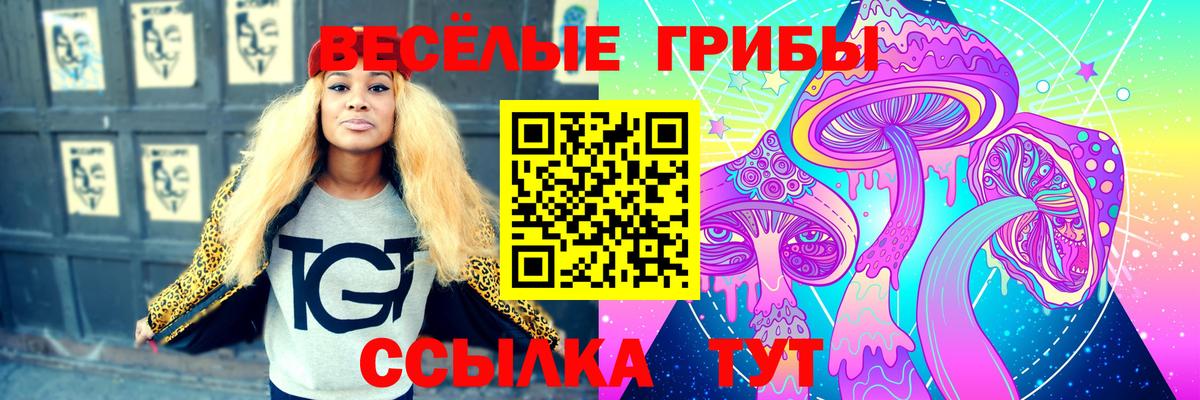 Галлюциногенные грибы GOLDEN TEACHER Канаш