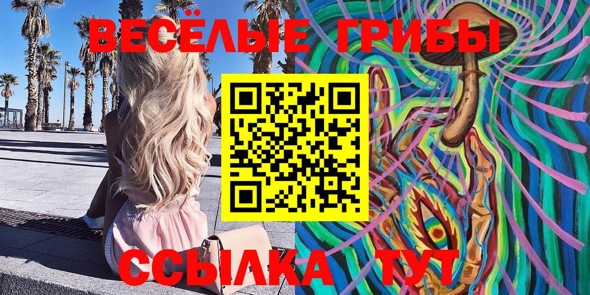 Канаш  Псилоцибиновые грибы ЛСД  Вход с VPN  купить наркоту  Галлюциногенные грибы Magic Shrooms 